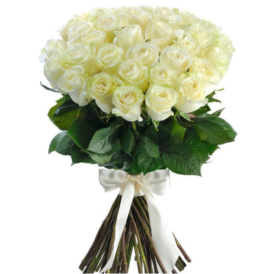 Букет из 35 белых розы