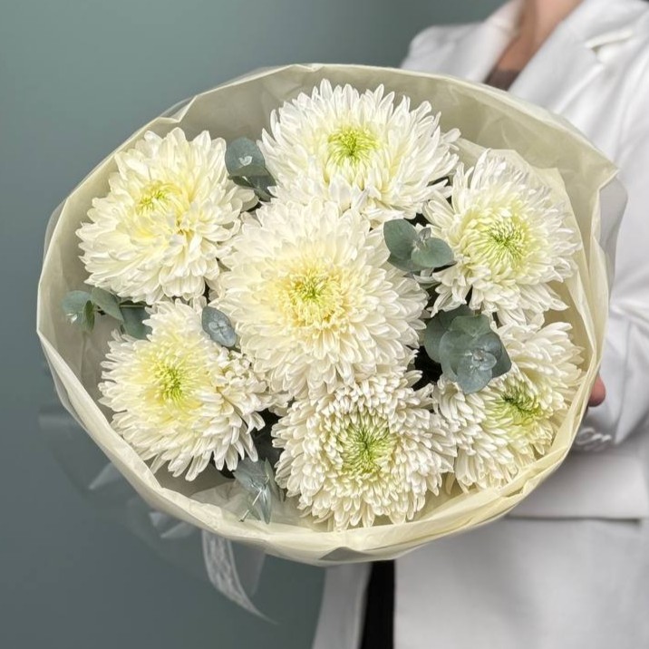 Крупные хризантемы