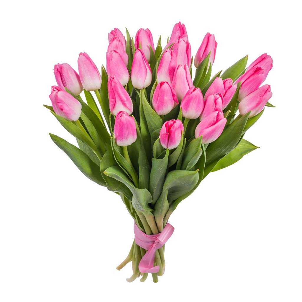 Букет из 25 розовых тюльпанов