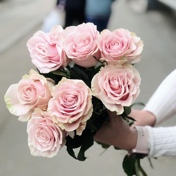 Букет из 7 нежно розовых роз