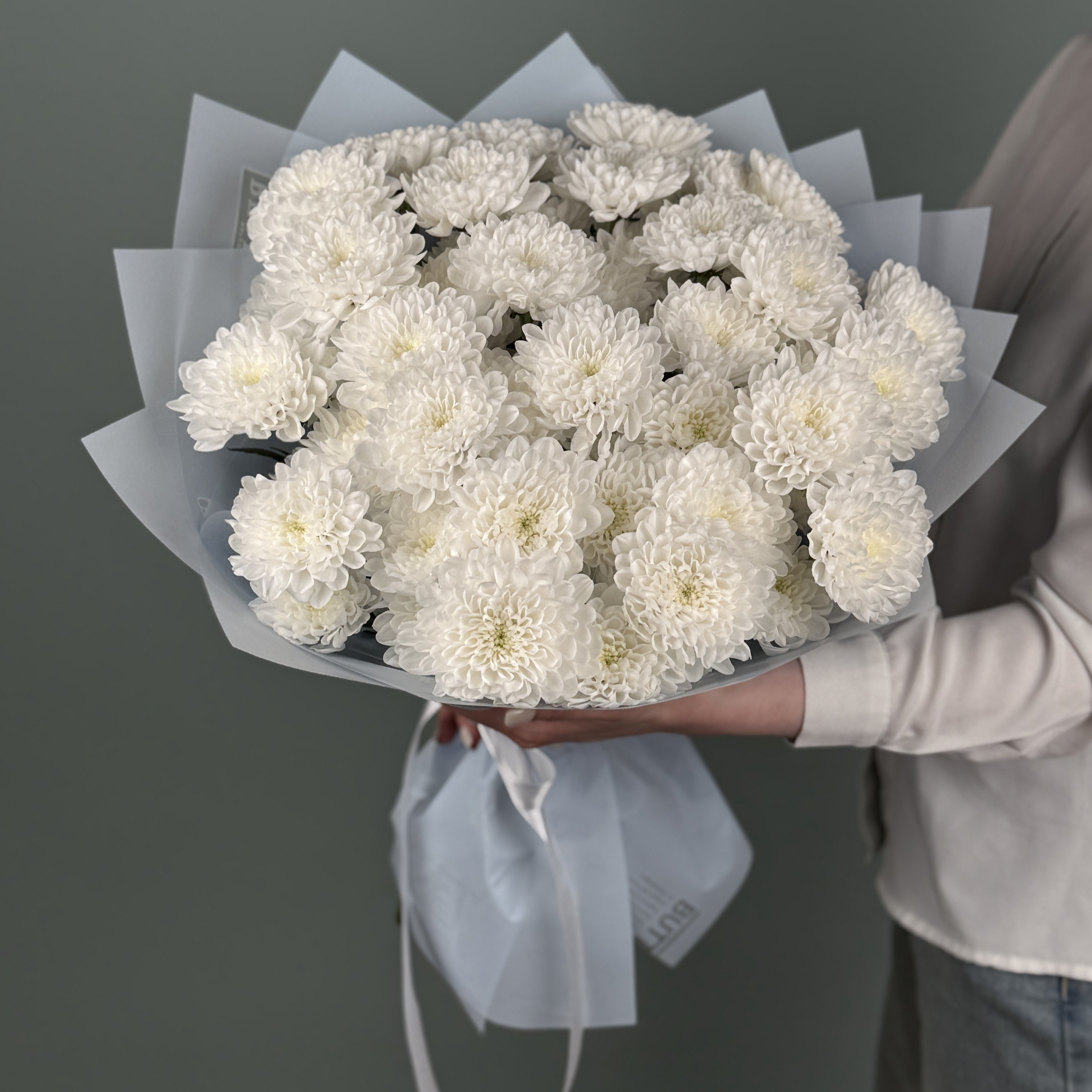 Пушистые хризантемы