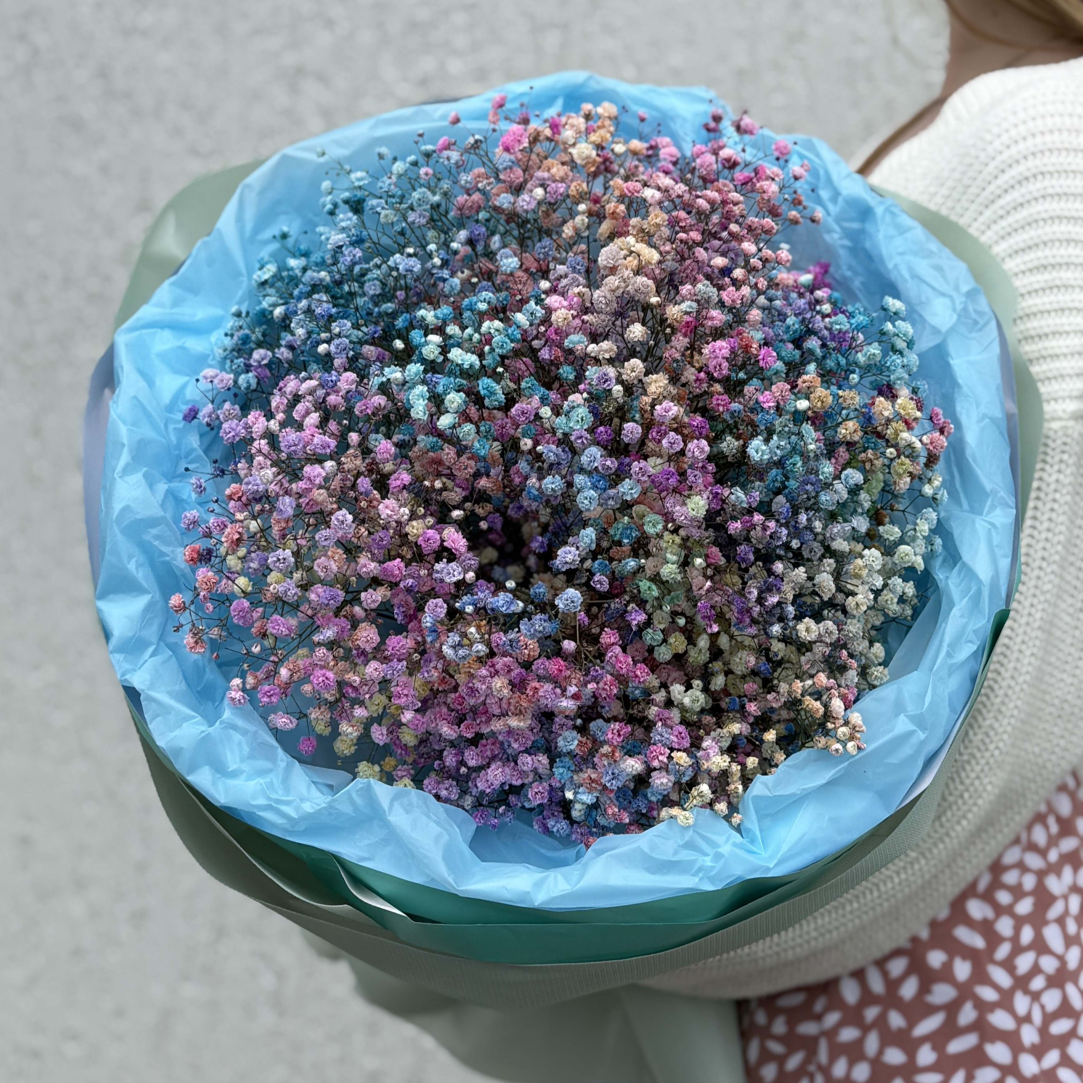 Радужная гипсофила