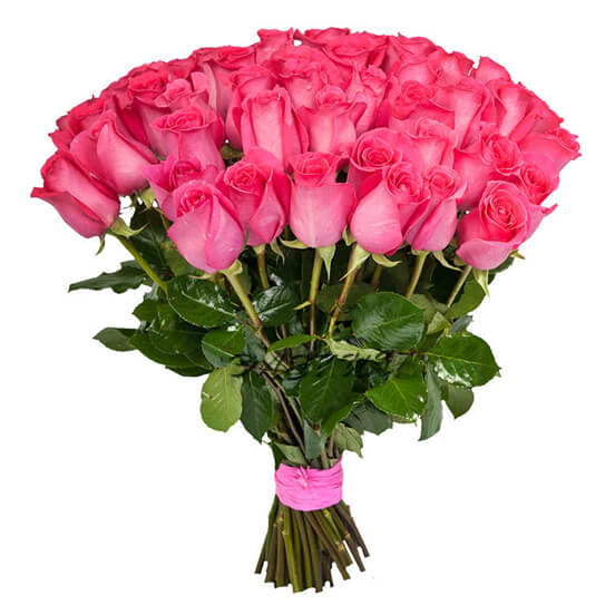 Букет из 51 ярко розовой розы 