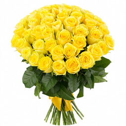 Букет из 51 желтой розы