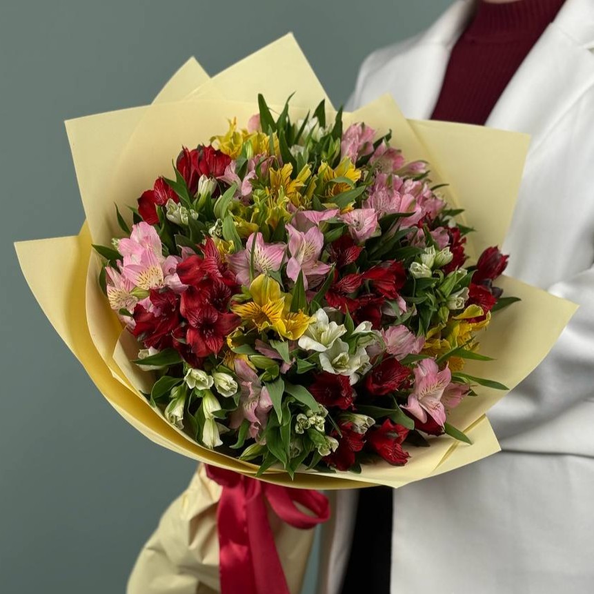 25 цветных альстромерий