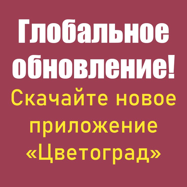 Установите новое приложение Цветоград