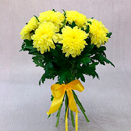 Букет из 9 желтых хризантем одноголовых