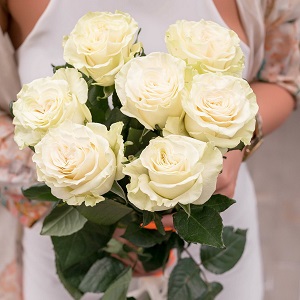 Букет из 7 белых роз
