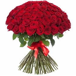 Букет из 51 красной розы (высокий)