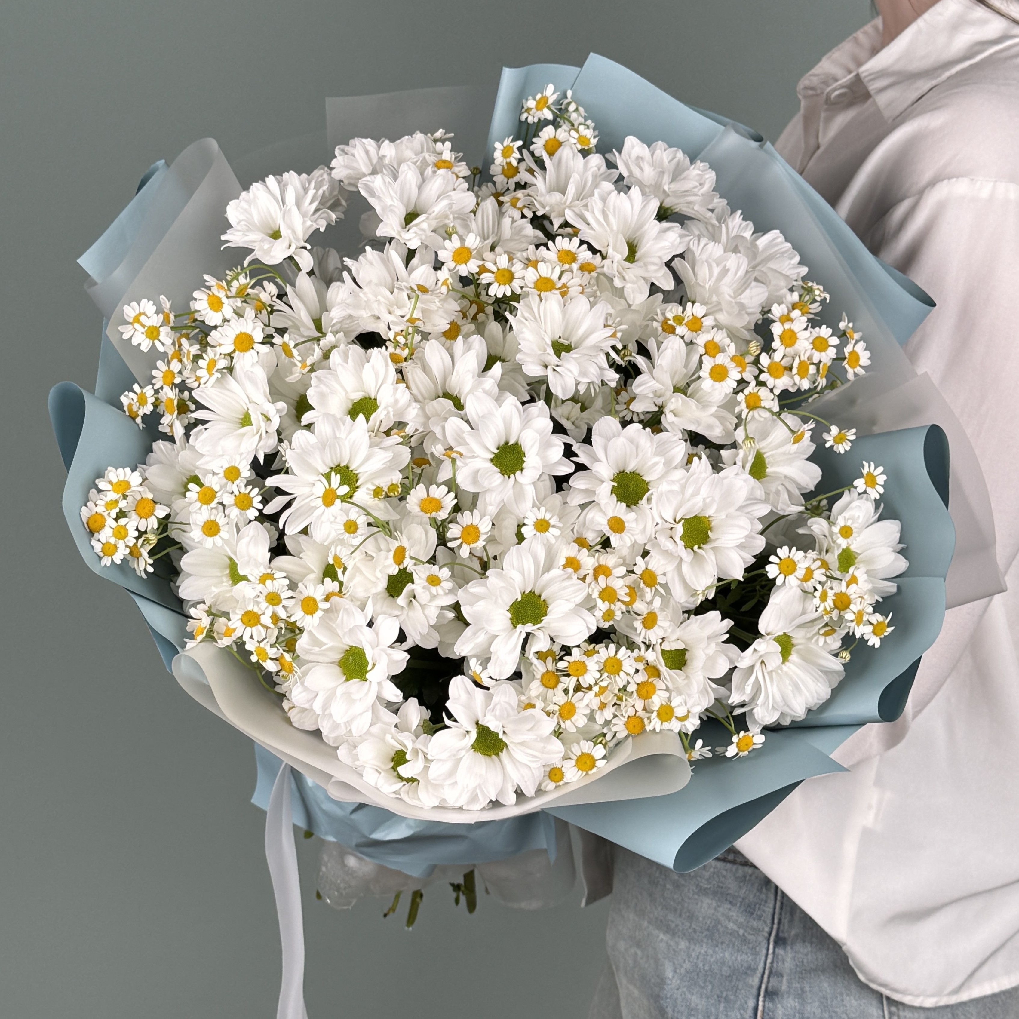 Любимые ромашки