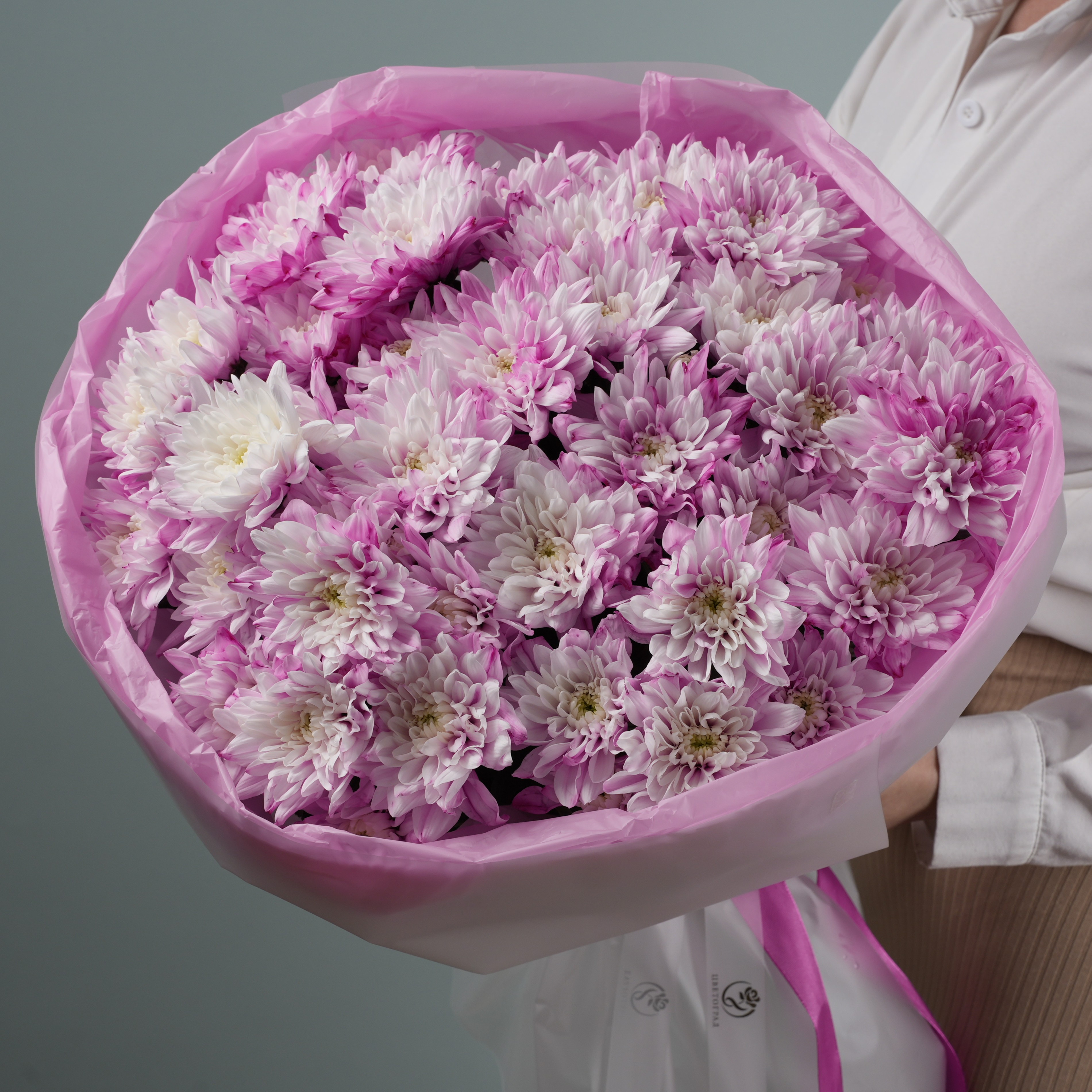 Крашенные хризантемы