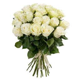 Букет из 25 белых розы