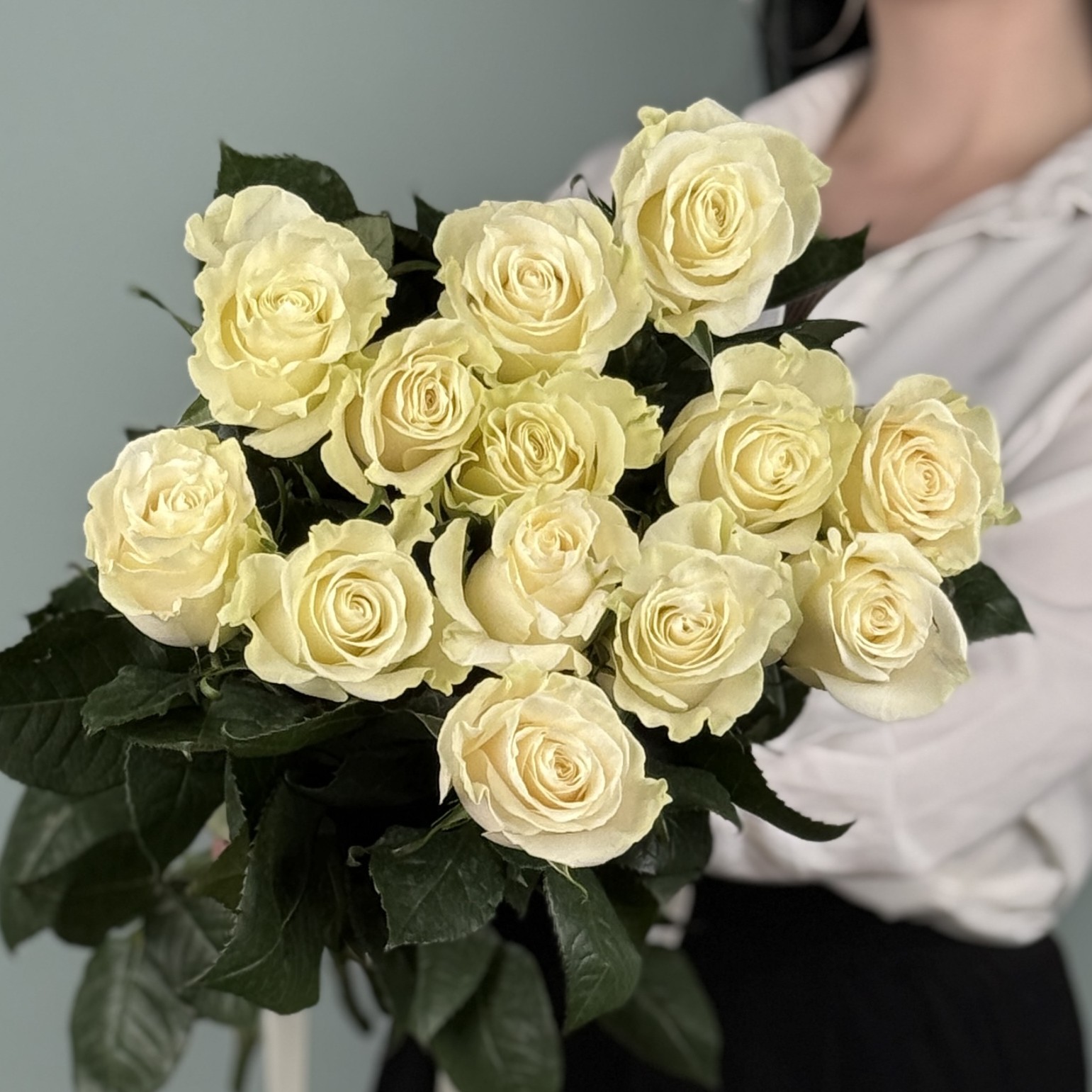 13 белых роз